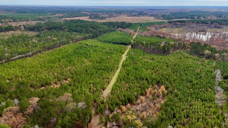 4 Bed 3 Bath House on 125 Acres for Sale In Lasalle Parish - image 37