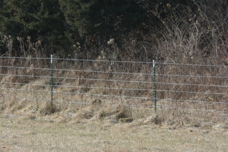Farm For Sale - image 25