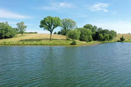 193 Acre Farm For Sale Located in Lamoni, Iowa - image 6