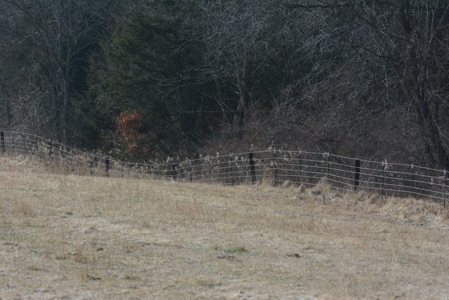 Farm For Sale - image 26