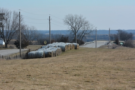 Farm For Sale - image 29