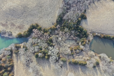 Farm For Sale - image 12