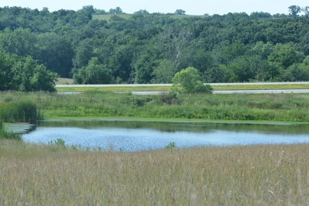 193 Acre Farm For Sale Located in Lamoni, Iowa - image 17