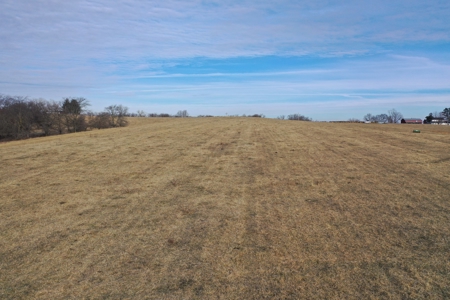 Farm For Sale - image 21