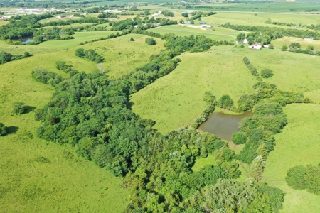 193 Acre Farm For Sale Located in Lamoni, Iowa - image 13