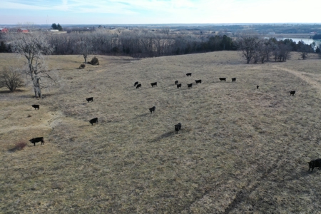 Farm For Sale - image 15