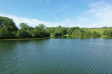 193 Acre Farm For Sale Located in Lamoni, Iowa - image 5
