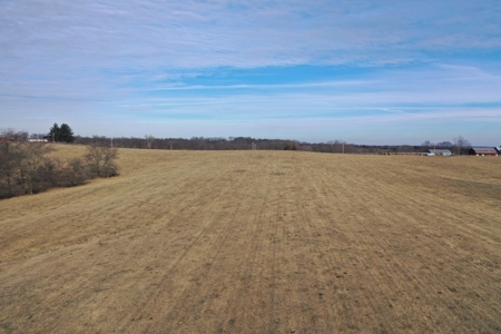 Farm For Sale - image 32