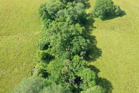 193 Acre Farm For Sale Located in Lamoni, Iowa - image 10