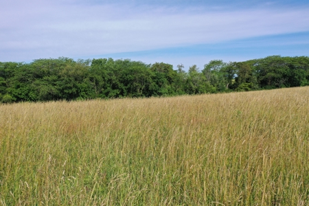 193 Acre Farm For Sale Located in Lamoni, Iowa - image 14