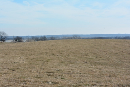 Farm For Sale - image 27
