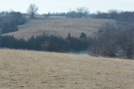 Farm For Sale - image 23