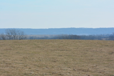 Farm For Sale - image 28