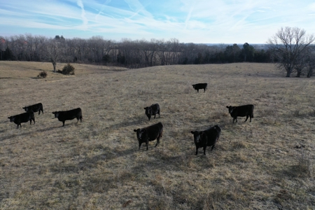 Farm For Sale - image 16