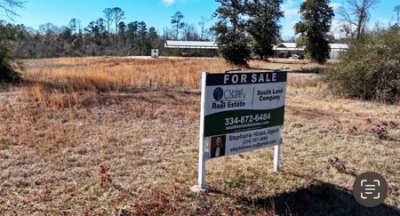 Commercial Property with Acreage for Sale in Camden, Alabama - image 2