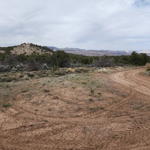 Cabin on 71 acres west of Debeque, CO - image 23