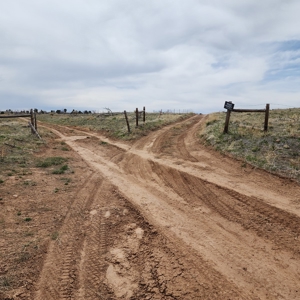 Cabin on 71 acres west of Debeque, CO - image 24