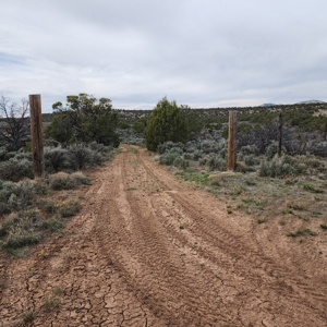 Cabin on 71 acres west of Debeque, CO - image 15