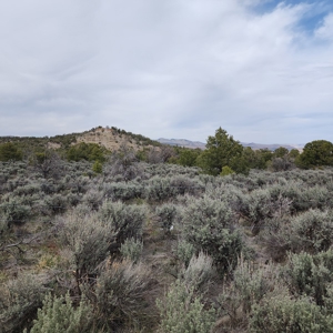 Cabin on 71 acres west of Debeque, CO - image 17