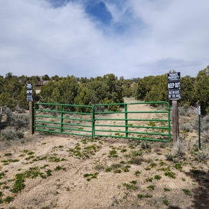 Cabin on 71 acres west of Debeque, CO - image 13