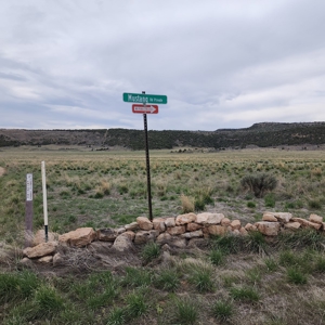 Cabin on 71 acres west of Debeque, CO - image 18