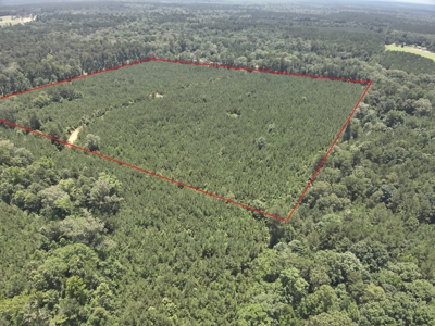 Land For Sale in Union County Arkansas - image 4