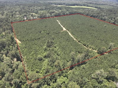 Land For Sale in Union County Arkansas - image 5