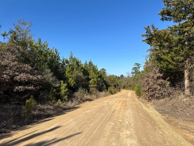 Land For Sale in Union County Arkansas - image 1