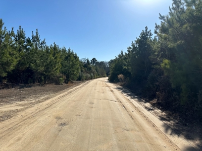 Land For Sale in Union County Arkansas - image 2