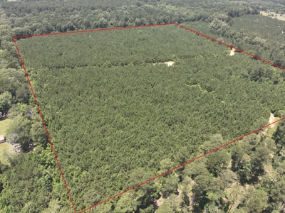 Land For Sale in Union County Arkansas - image 6