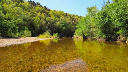 Recreation & Resort Property For Sale South Central Missouri - image 2