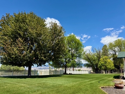 Colorado Country Home For Sale - image 40