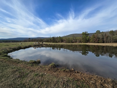 Country Acreage & Homestead - Adjoining National Forest - image 3