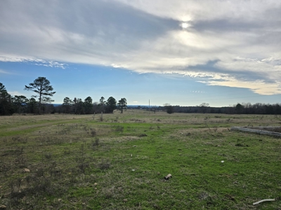 Country Acreage & Homestead - Adjoining National Forest - image 13
