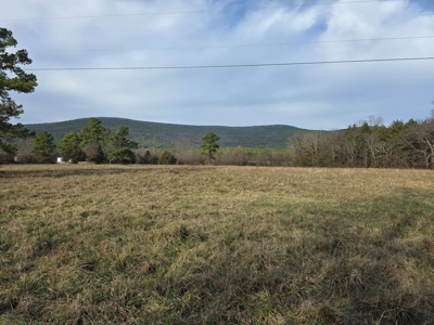 Country Acreage & Homestead - Adjoining National Forest - image 21