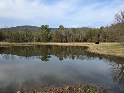 Country Acreage & Homestead - Adjoining National Forest - image 4