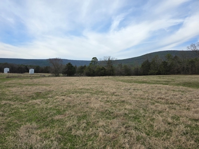 Country Acreage & Homestead - Adjoining National Forest - image 7