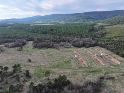 Country Acreage & Homestead - Adjoining National Forest - image 25