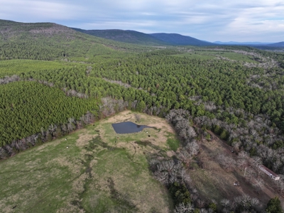 Country Acreage & Homestead - Adjoining National Forest - image 24