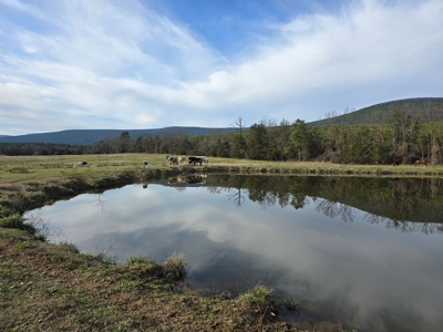 Country Acreage & Homestead - Adjoining National Forest - image 1
