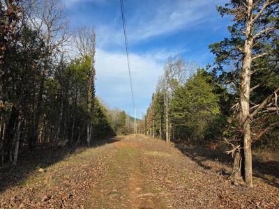 Country Acreage & Homestead - Adjoining National Forest - image 20