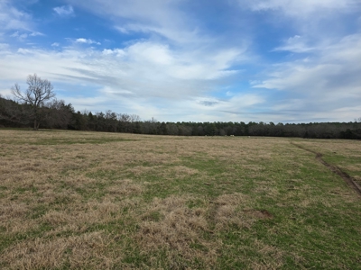 Country Acreage & Homestead - Adjoining National Forest - image 8