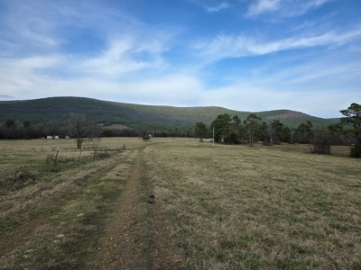 Country Acreage & Homestead - Adjoining National Forest - image 15