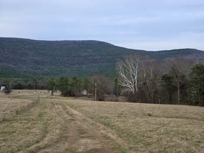 Country Acreage & Homestead - Adjoining National Forest - image 23
