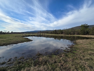 Country Acreage & Homestead - Adjoining National Forest - image 2