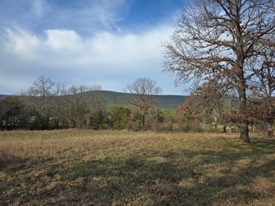 Country Acreage & Homestead - Adjoining National Forest - image 18