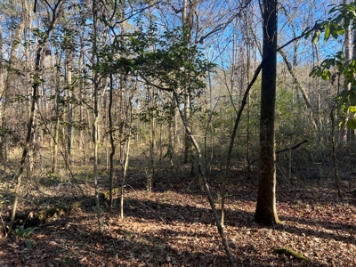 Price Improvement 50 acre tract east of Oakdale on Hwy 10 - image 4