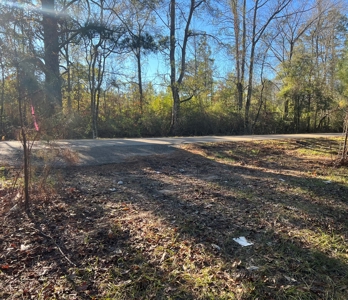 Price Improvement 50 acre tract east of Oakdale on Hwy 10 - image 3