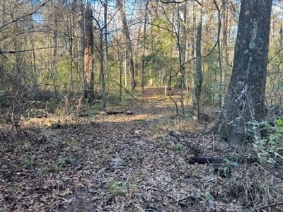 Price Improvement 50 acre tract east of Oakdale on Hwy 10 - image 6