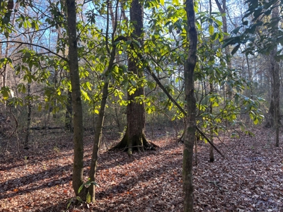 Price Improvement 50 acre tract east of Oakdale on Hwy 10 - image 5